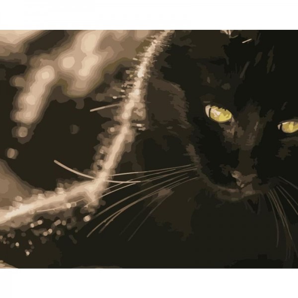 Black Cat Diy Paint By Numbers Kits