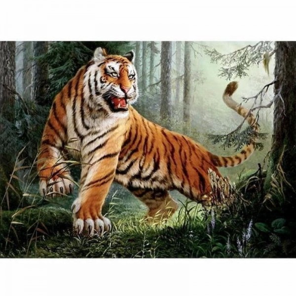 Order Animal Tiger Paint By Numbers Kits