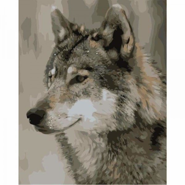 Buy Animal Wolf Paint By Numbers Kits