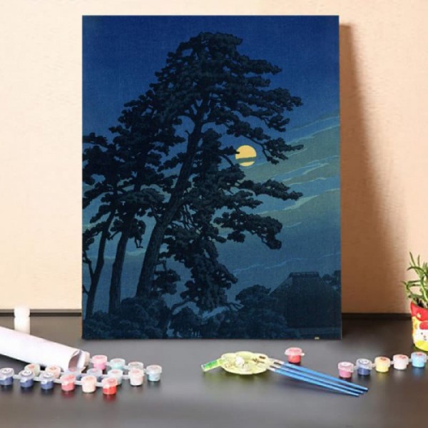 Paint by Numbers Kit-Full Moon Night