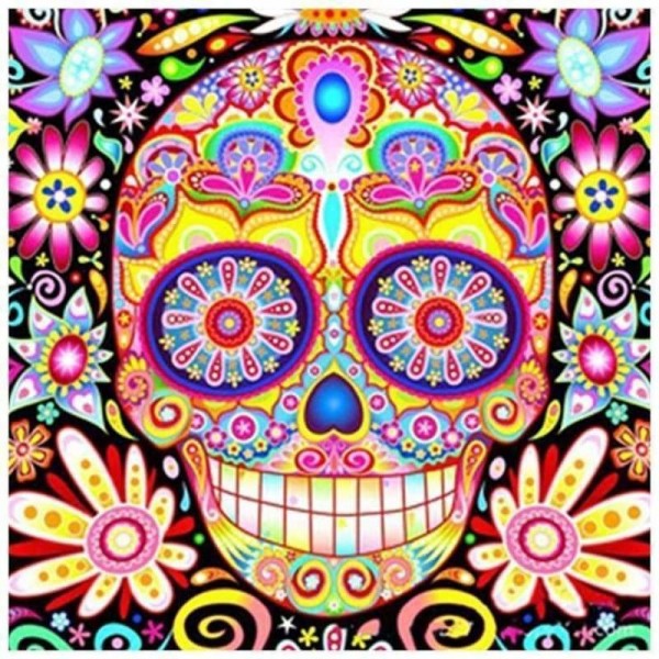 Skull Diy Paint By Numbers Kits
