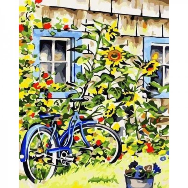 Bicycle Diy Paint By Numbers Kits