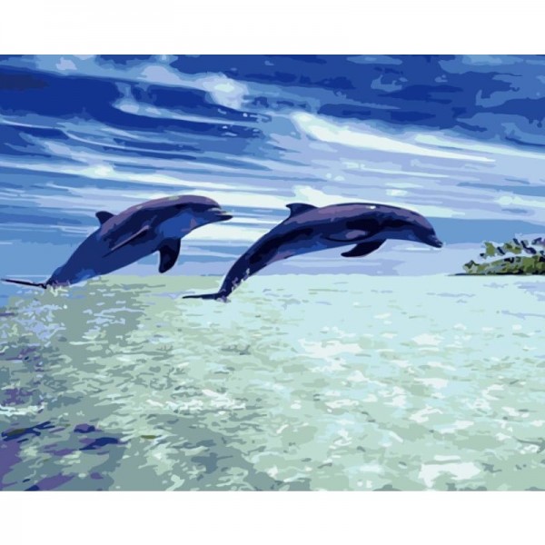 Dream Dolphin Diy Paint By Numbers Kits