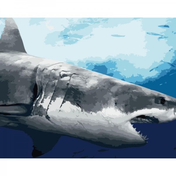 Order Shark Diy Paint By Numbers Kits