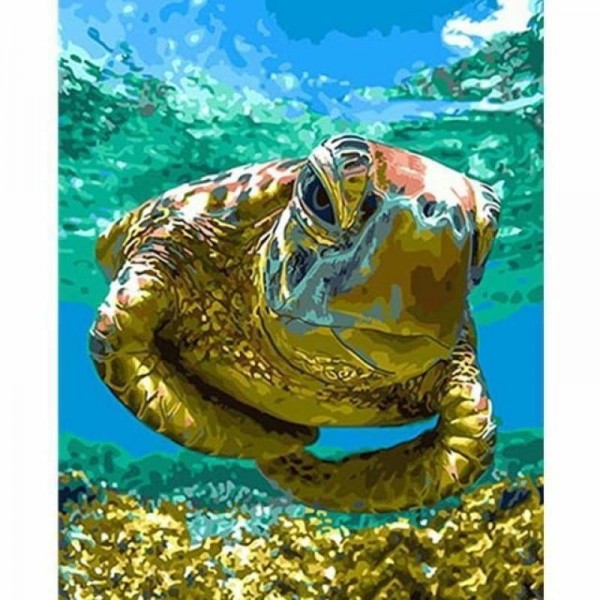 Order Turtle Diy Paint By Numbers Kits
