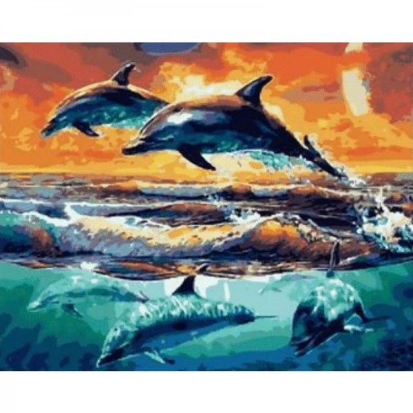 Dolphin Diy Paint By Numbers Kits