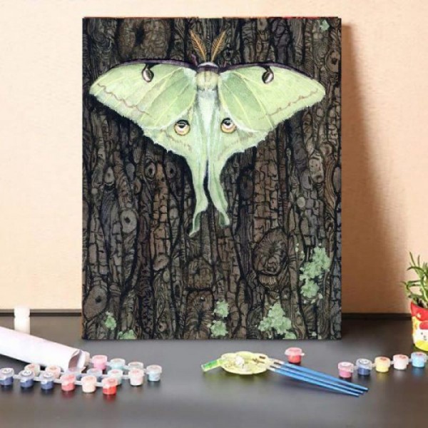 Paint By Numbers Kit – Butterfly
