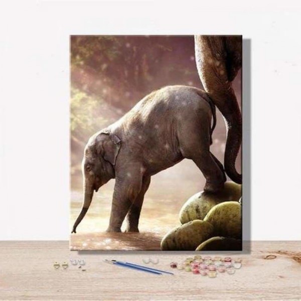 Animal Elephant Diy Paint By Numbers Kits