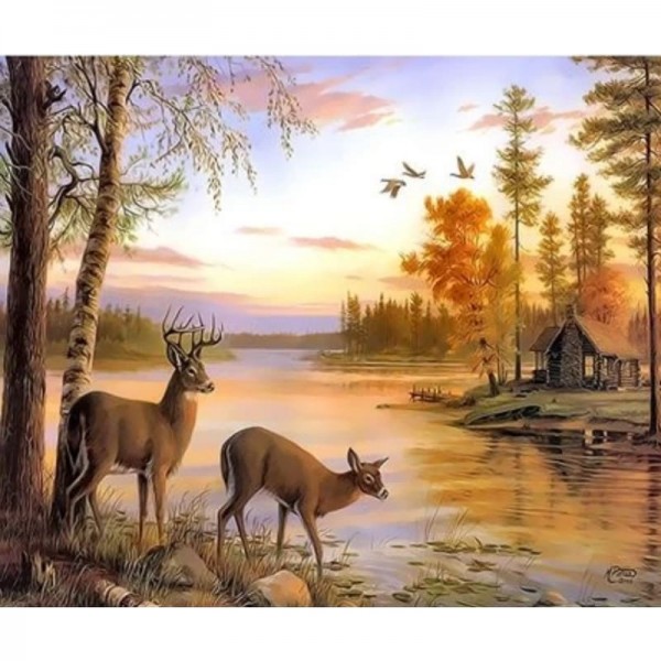 Animal Deer Diy Paint By Numbers Kits