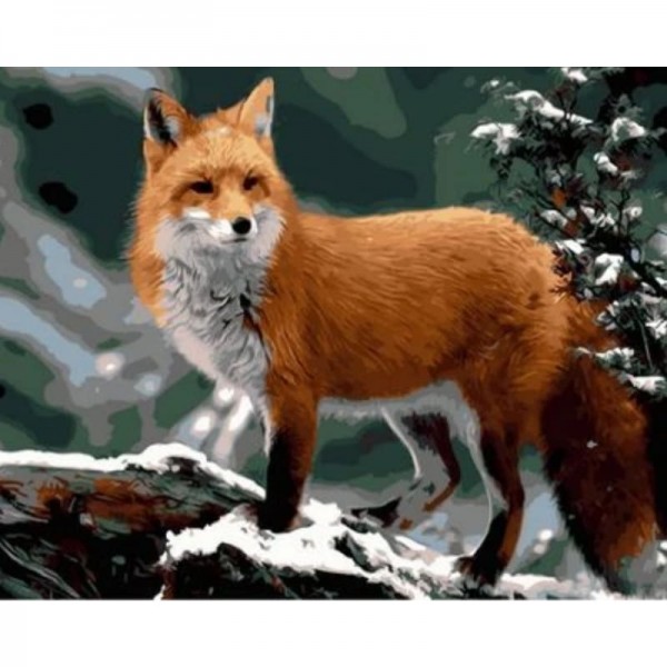 Animal Fox Diy Paint By Numbers Kits