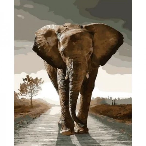 Animal Elephant Diy Paint By Numbers Kits