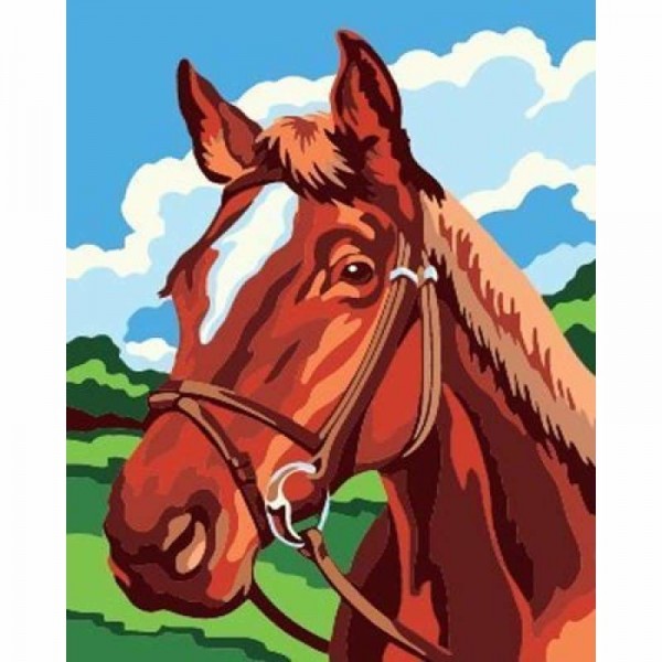 Order Animal Horse Diy Paint By Numbers Kits