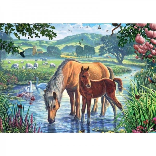 Order Animals Horse Paint By Numbers Kits