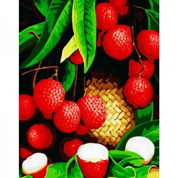 Buy Fruit Paint By Numbers Kits