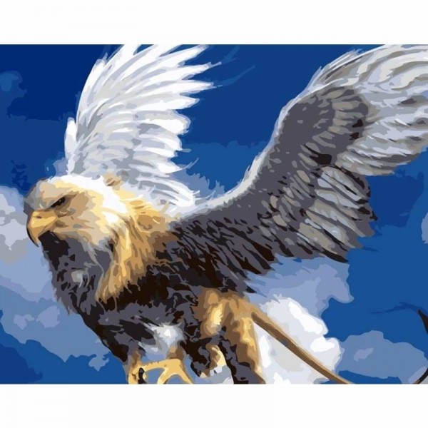 Buy Eagle Diy Paint By Numbers Kits