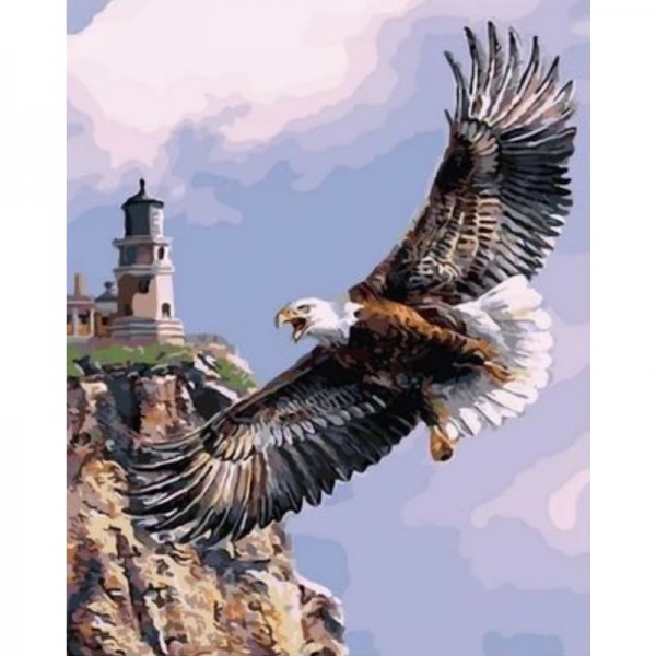 Eagle Diy Paint By Numbers Kits