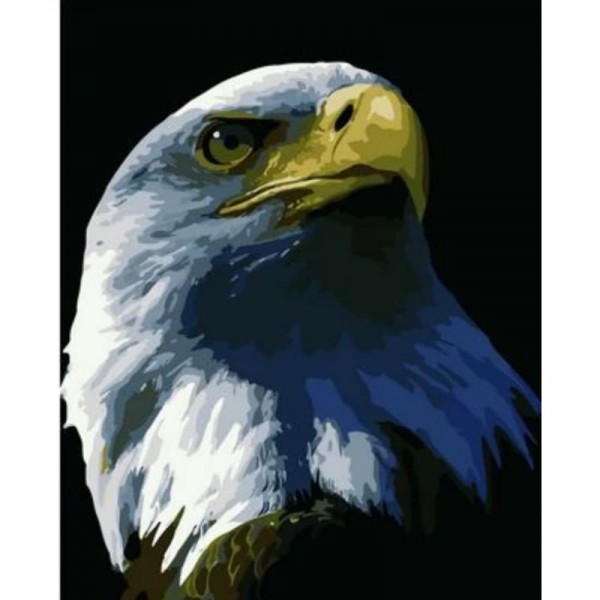 Order Eagle Diy Paint By Numbers Kits