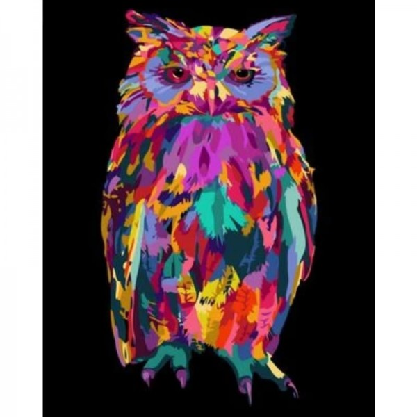 Buy Color Animal Owl Diy Paint By Numbers Kits