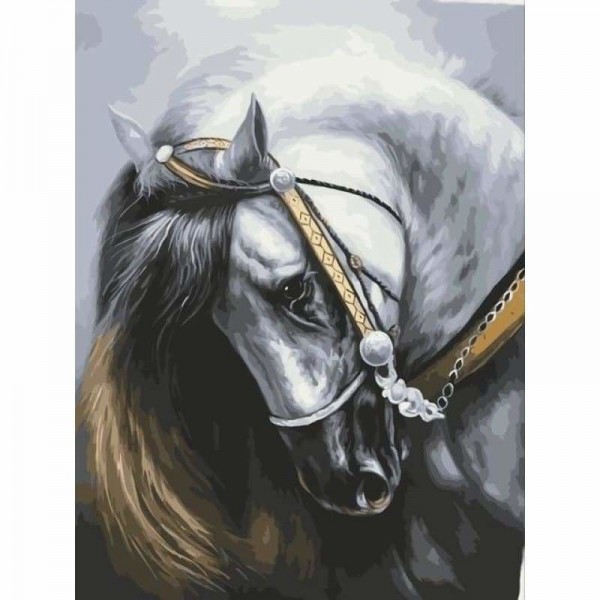 Buy The Horse Diy Paint By Numbers Kits