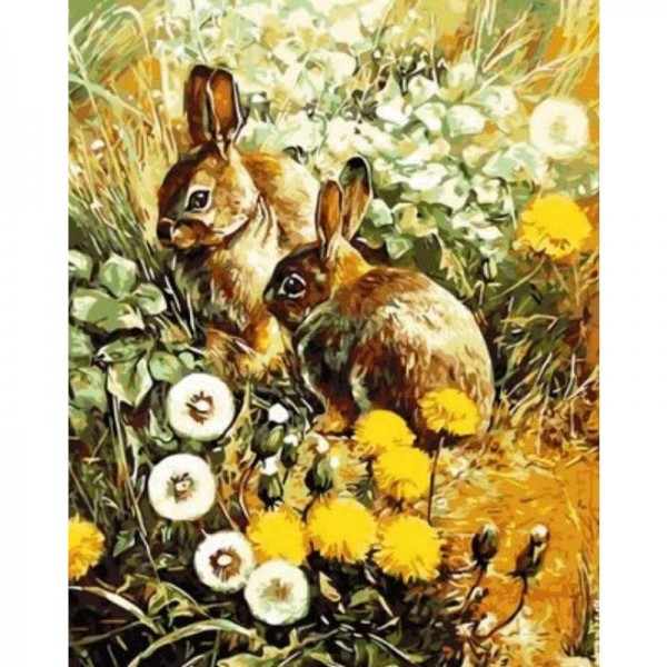 Animal Rabbit Diy Paint By Numbers Kits