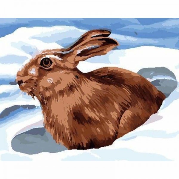 Animal Rabbit Diy Paint By Numbers Kits