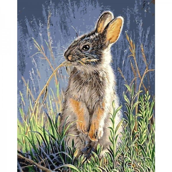 Rabbit Diy Paint By Numbers Kits
