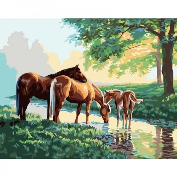 Horse Diy Paint By Numbers Kits