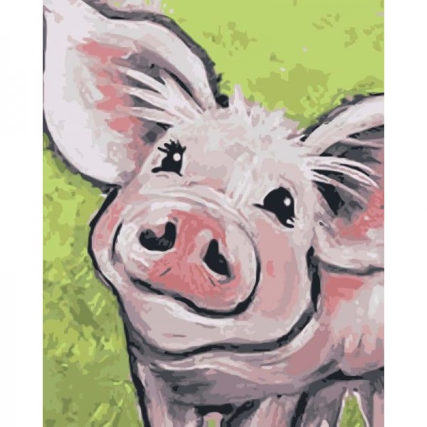 Pig Diy Paint By Numbers Kits