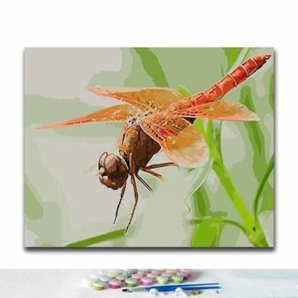 Dragonfly Diy Paint By Numbers Kits