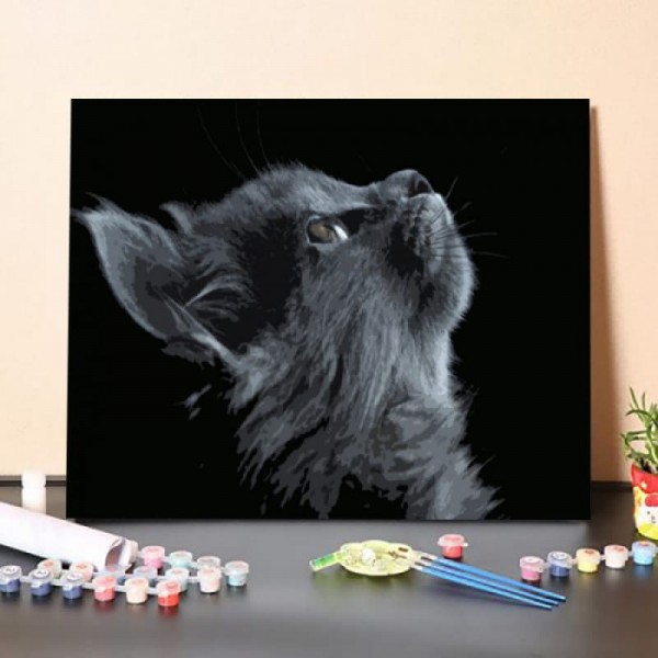 Cute Cat B&W – Paint By Numbers Kit