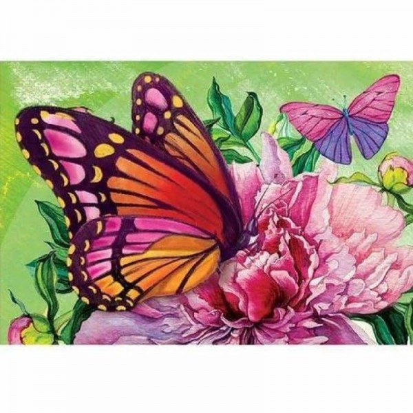 Colorful Butterfly Diy Paint By Numbers Kits