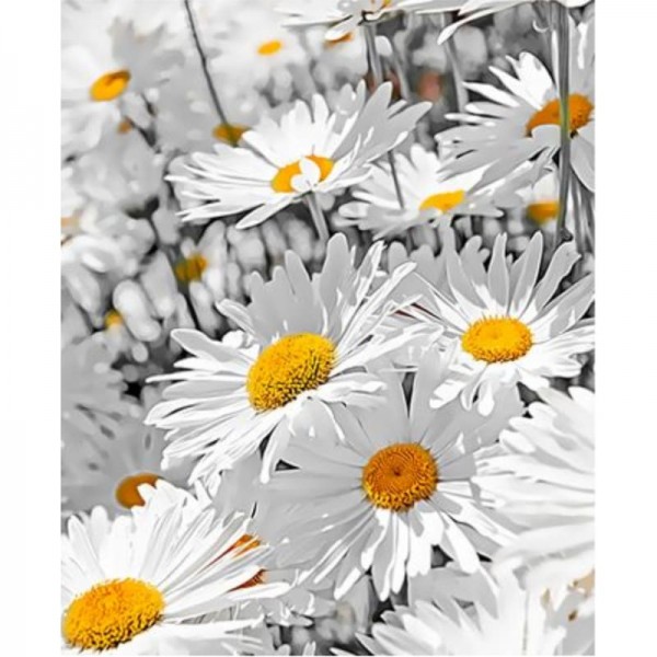 Chrysanthemum Diy Paint By Numbers Kits