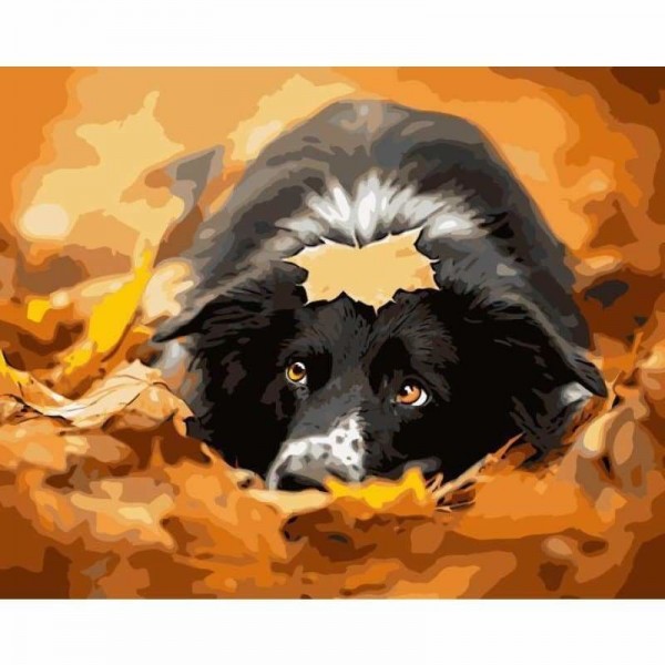 Order Maple Leaf Dog Diy Paint By Numbers Kits