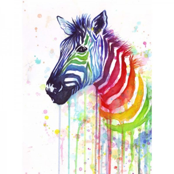 Buy Animal Zebra Diy Paint By Numbers PBN90459