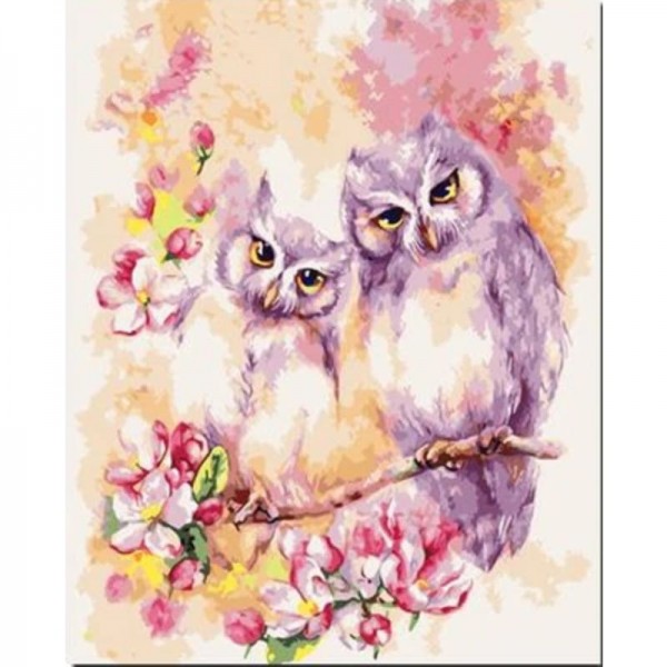 Order Flying Animal Two Lovely Owl Diy Paint By Numbers Kits