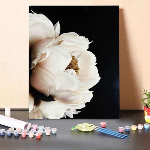 Paint by Numbers Kit-Blooming In The Dark