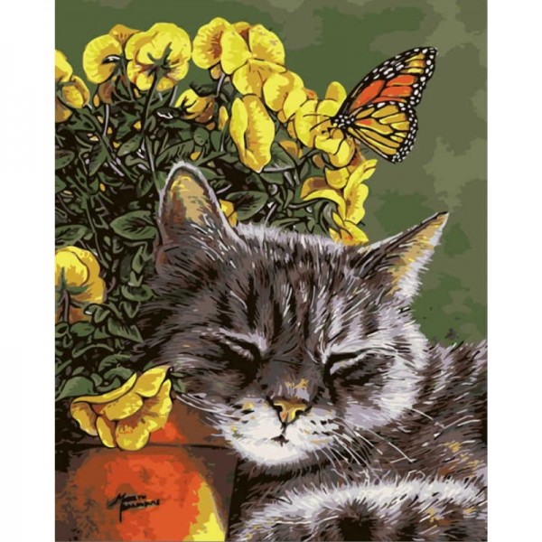 Animal Cat Diy Paint By Numbers Kits