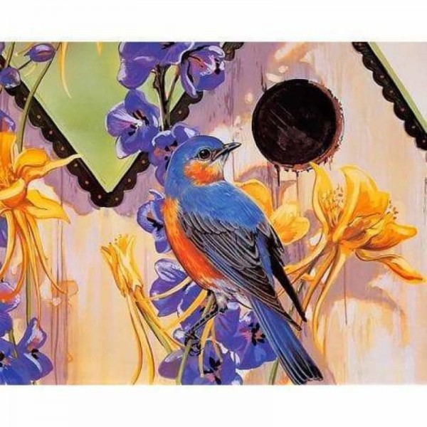 Colorful Bird Diy Paint By Numbers Kits