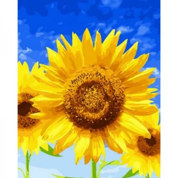 Sunflower Diy Paint By Numbers Kits