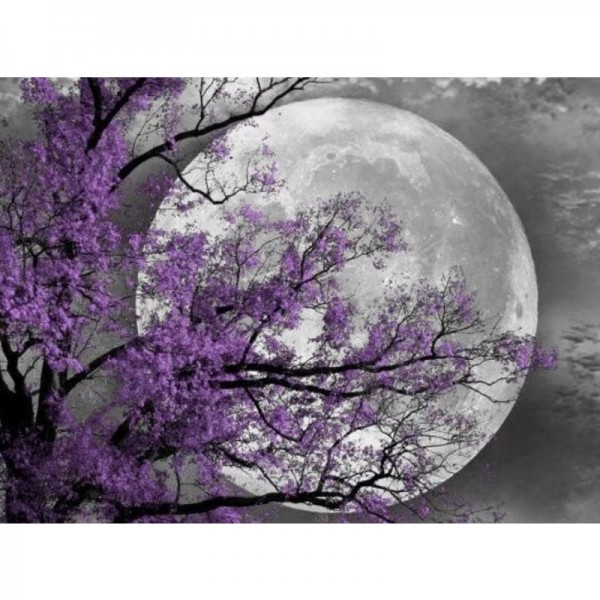Buy Scenery Tree Moonlight Diy Paint By Numbers Kits