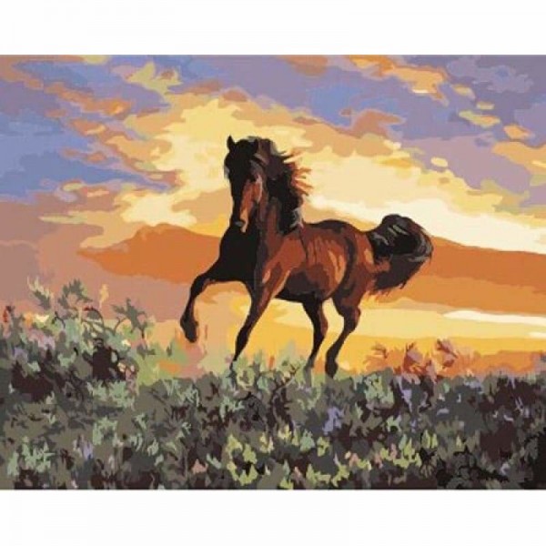 Animal Horse Diy Paint By Numbers Kits